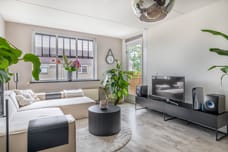 Afbeelding van Kievit 7 - Derde foto