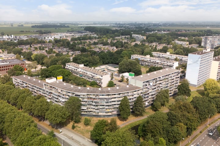 Marsdiep 213 main image
