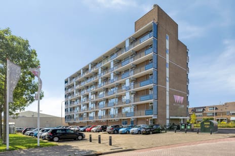 Gerard Dousingel 86 main image