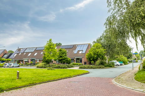 Koekoeksbloem 24 tertiary image