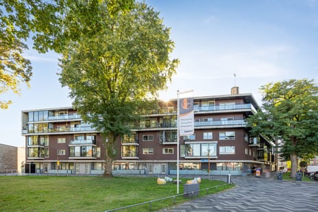 Banier 8-a main image