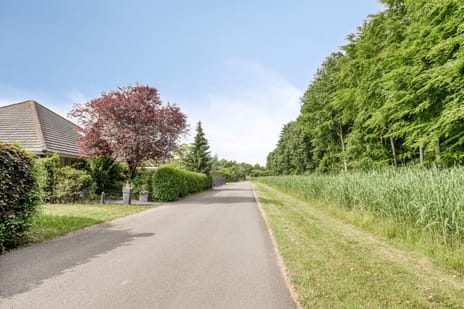Bosruiterweg 25-156 tertiary image