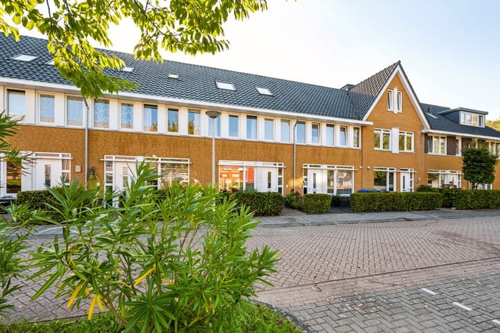 Stelkamp 14 main image