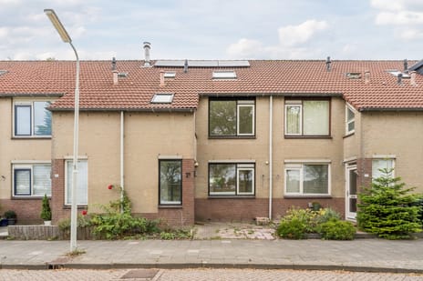 undefined main image