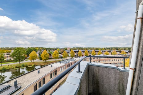 Afbeelding van Fuutmesschen 63 - Derde foto