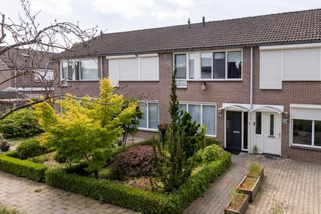undefined main image