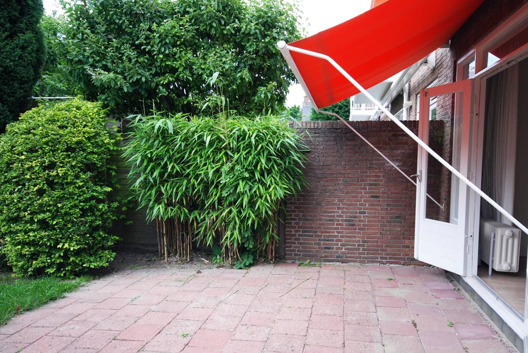 House Image 2