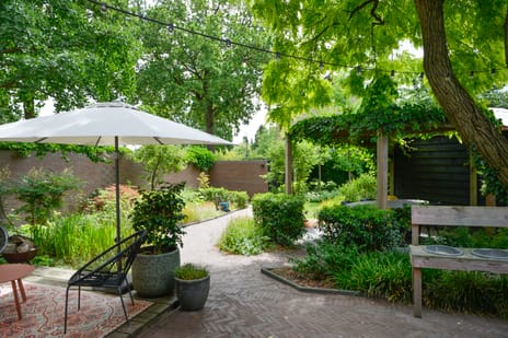 Birkstraat 6 tertiary image