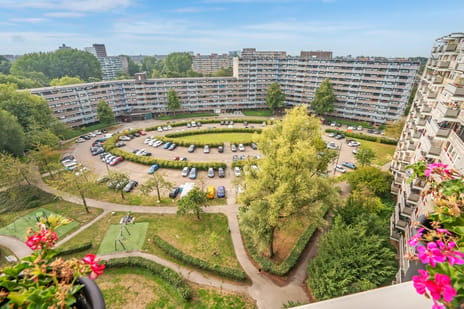 Afbeelding van Jonkerbos 232 - Tweede foto