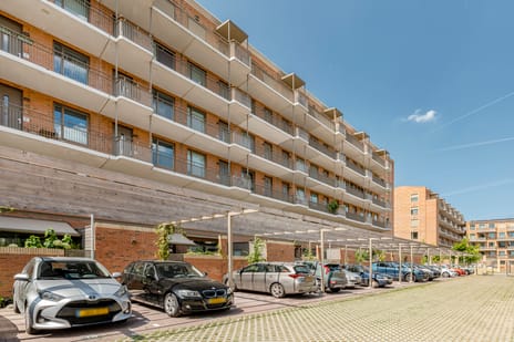 undefined main image