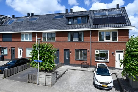 undefined main image