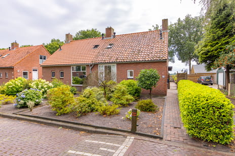 undefined main image