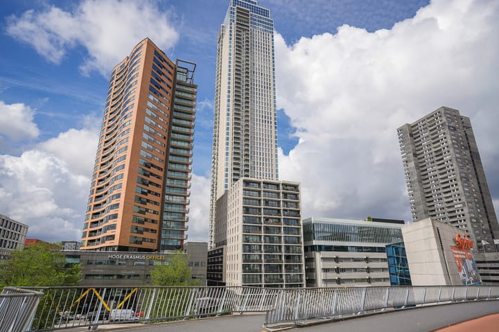 Houtlaan 239 main image