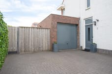 Afbeelding van Perenboom 1 - Derde foto