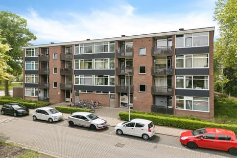 undefined main image