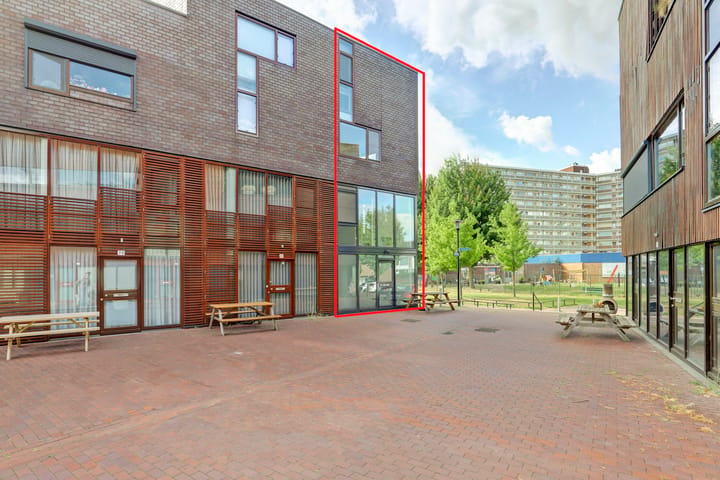 Kokardebloem 83 main image