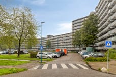 Afbeelding van Kadoelerbos 75 - Tweede foto