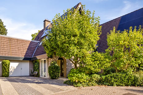 Andoorn 63 main image