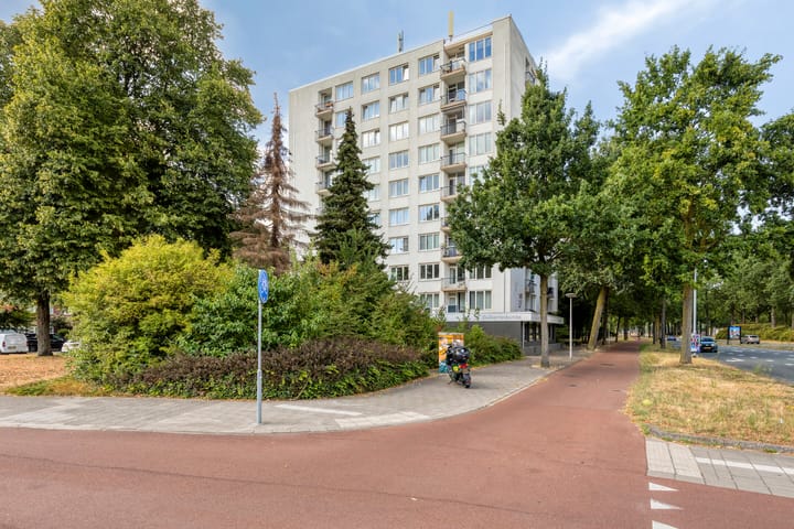 Pisanostraat 58 main image