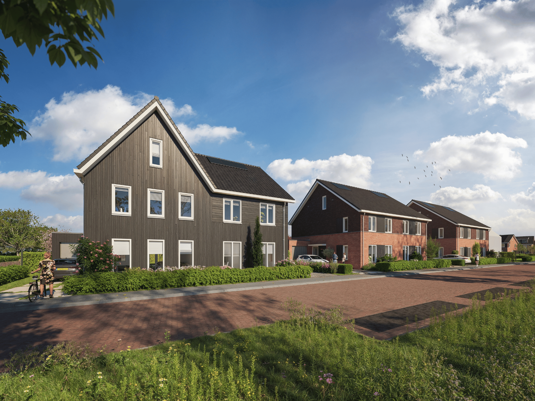 Image of Bovenkamp III - fase 2