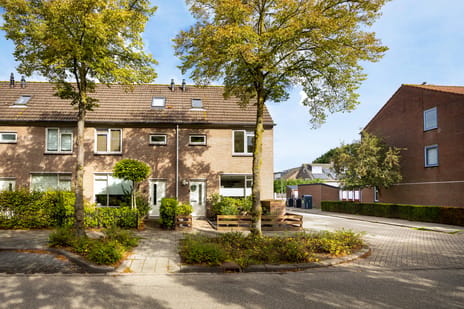 Nachtegaal 175 main image