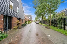 Afbeelding van Gentiaan 13 - Tweede foto