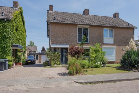 undefined main image