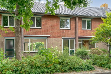 undefined main image