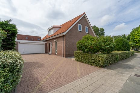undefined main image