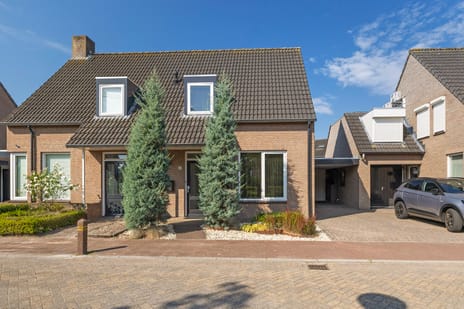 Sleutelbloem 11