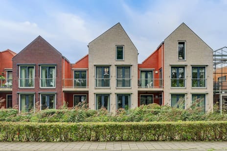 Afbeelding van Aanloop 35 - Derde foto