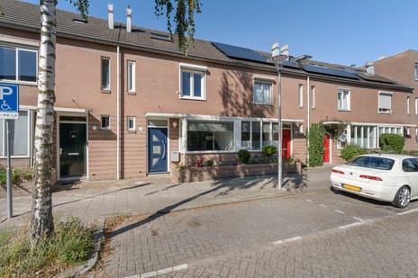 Amerongseberg 9 main image