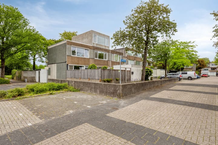 Haagbeemd 14 main image