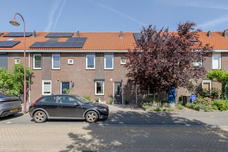 undefined main image