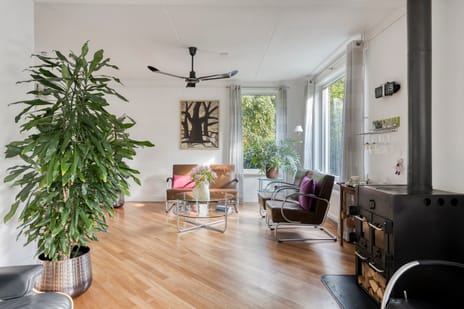 Afbeelding van Grutto 49 - Derde foto