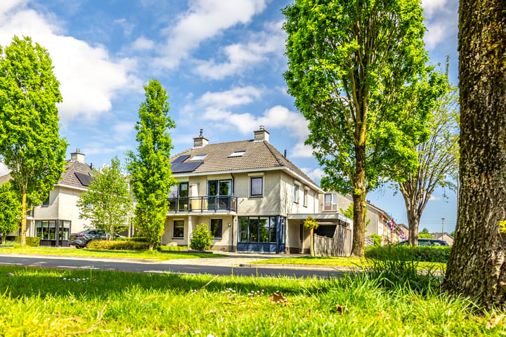 Schering 7 main image