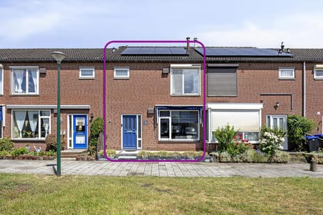 undefined main image