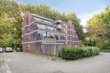 Groenhof 181 main image