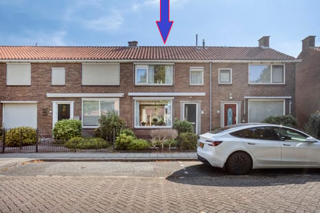 undefined main image