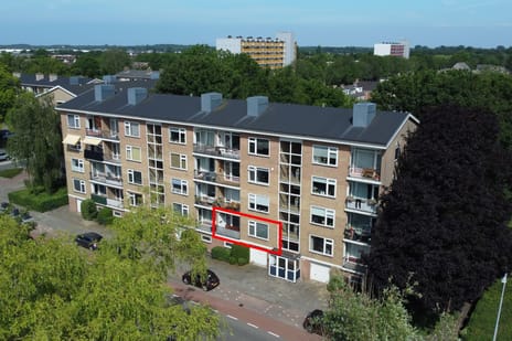 undefined main image