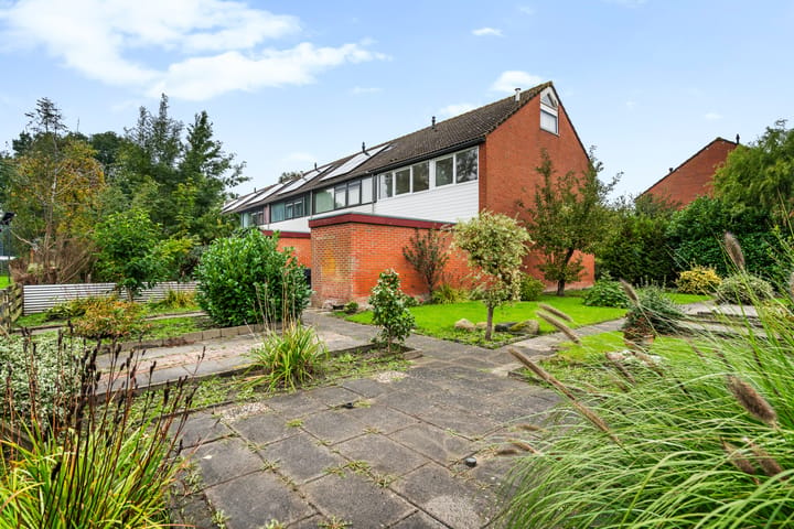 Sont 31 main image