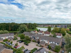 Afbeelding van Hoornbloem 25 - Tweede foto