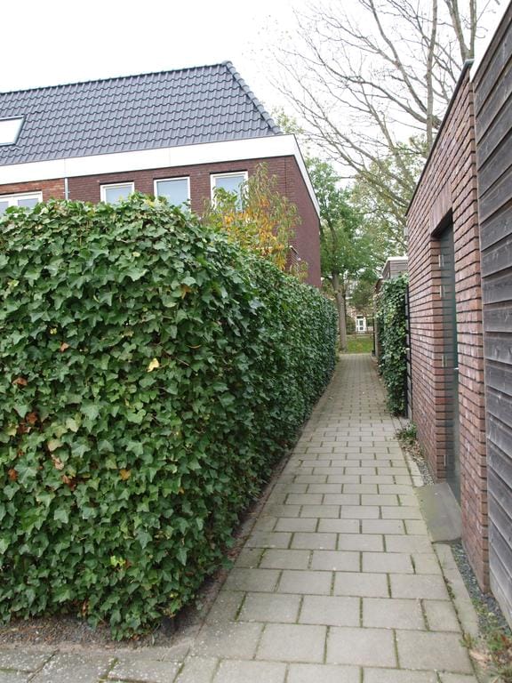 House Exterior