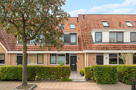 Riedermeet 43 main image