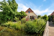 Afbeelding van Meerkoet 48 - Derde foto