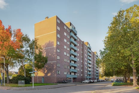 Lauwerszeeweg 53 main image