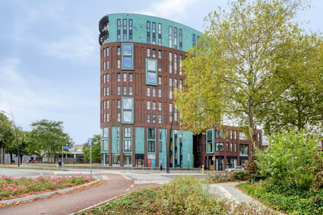 undefined main image