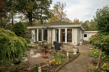 undefined main image