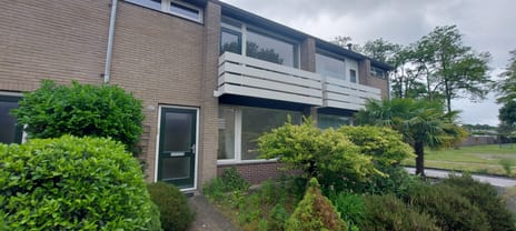 Bergschot main image