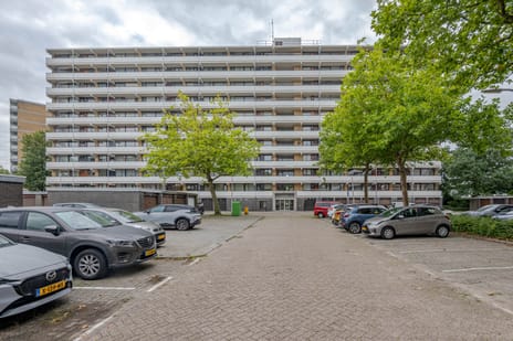 Seringenplantsoen 239